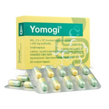 Yomogi 1×20 cps, liek proti hnačke