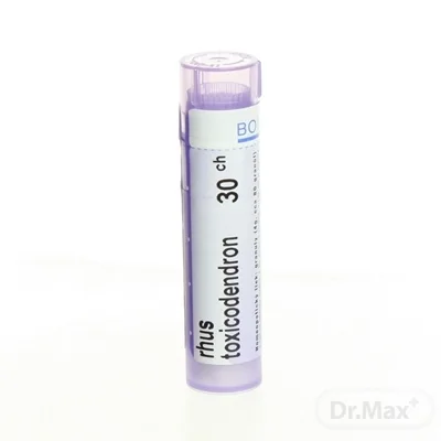 RHUS TOXICODENDRON   CH30 1x4 g 1×4 g, homeopatický liek