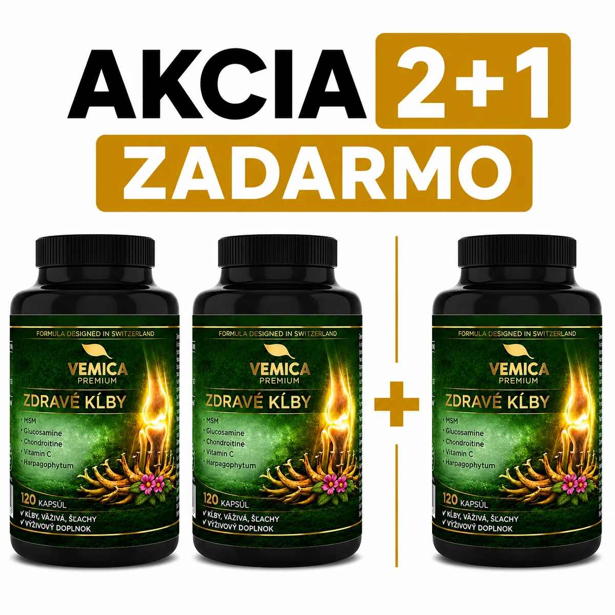 VEMICA PREMIUM ZDRAVÉ KĹBY 120 cps  2 + 1 ZDARMA