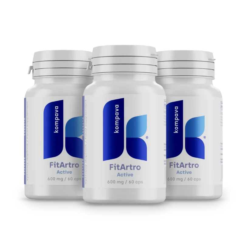 Fit artro aktiv 600mg 60 kapsúl
