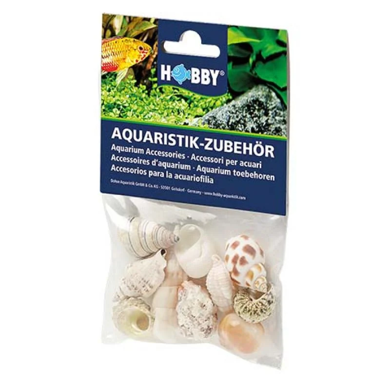 HOBBY Sea Shells Set M 10ks- dekorácia do akvária