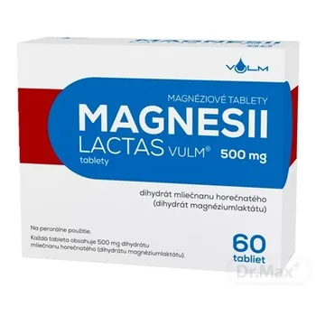 MAGNESII LACTAS VULM 500 mg 1×60 tbl, liek