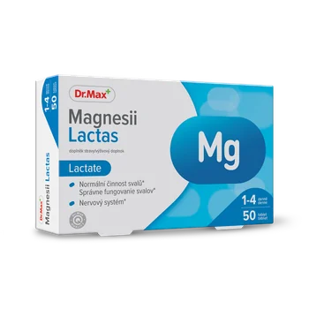Dr. Max Magnesii Lactas 1×50 tbl, horčík