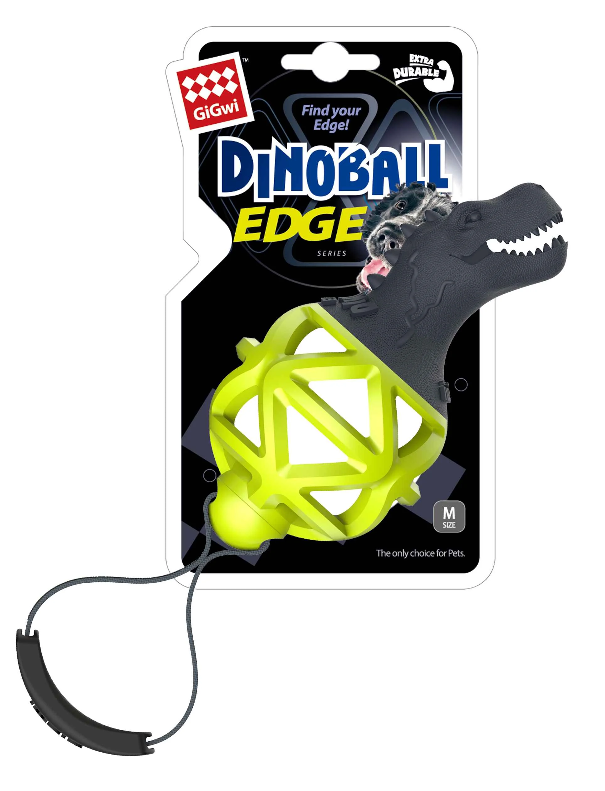 Gigwi Dinoball edge 1×1 ks, hračka pre psa