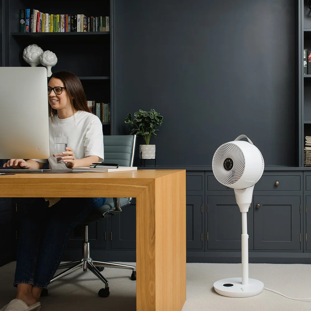 Fan Stojanový ventilátor 1056P