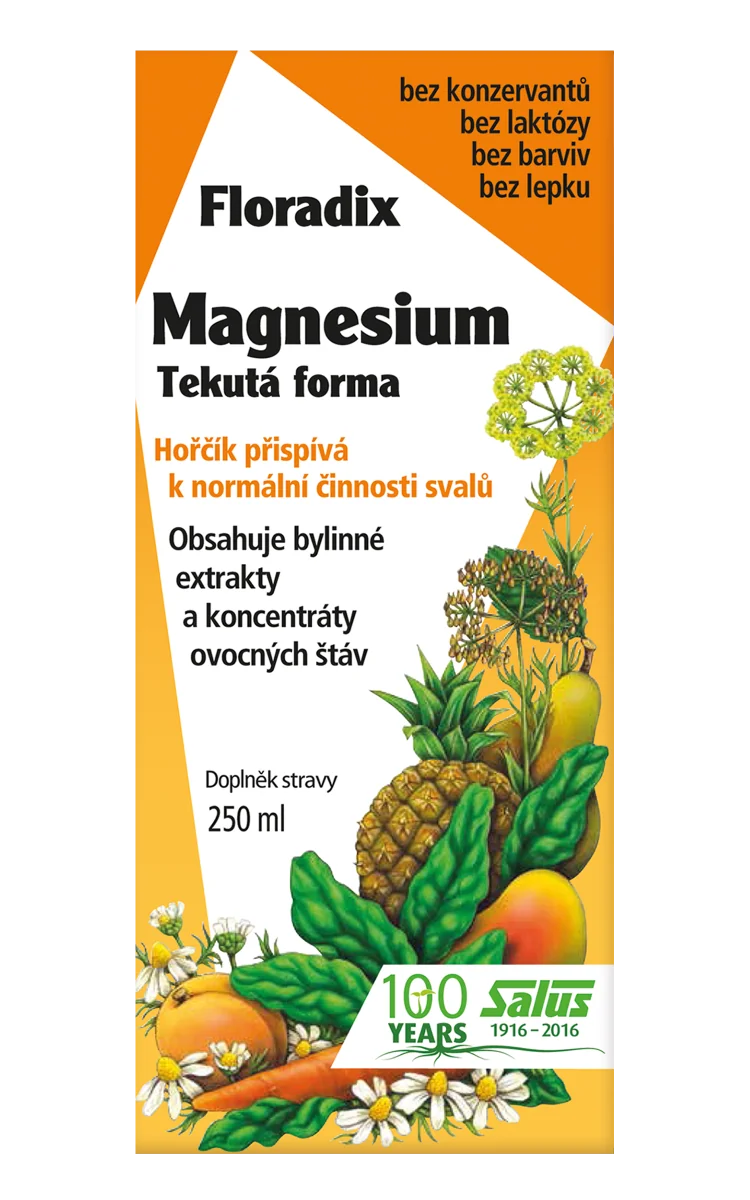 SALUS Floradix Magnesium 1×250 ml, tekutá forma