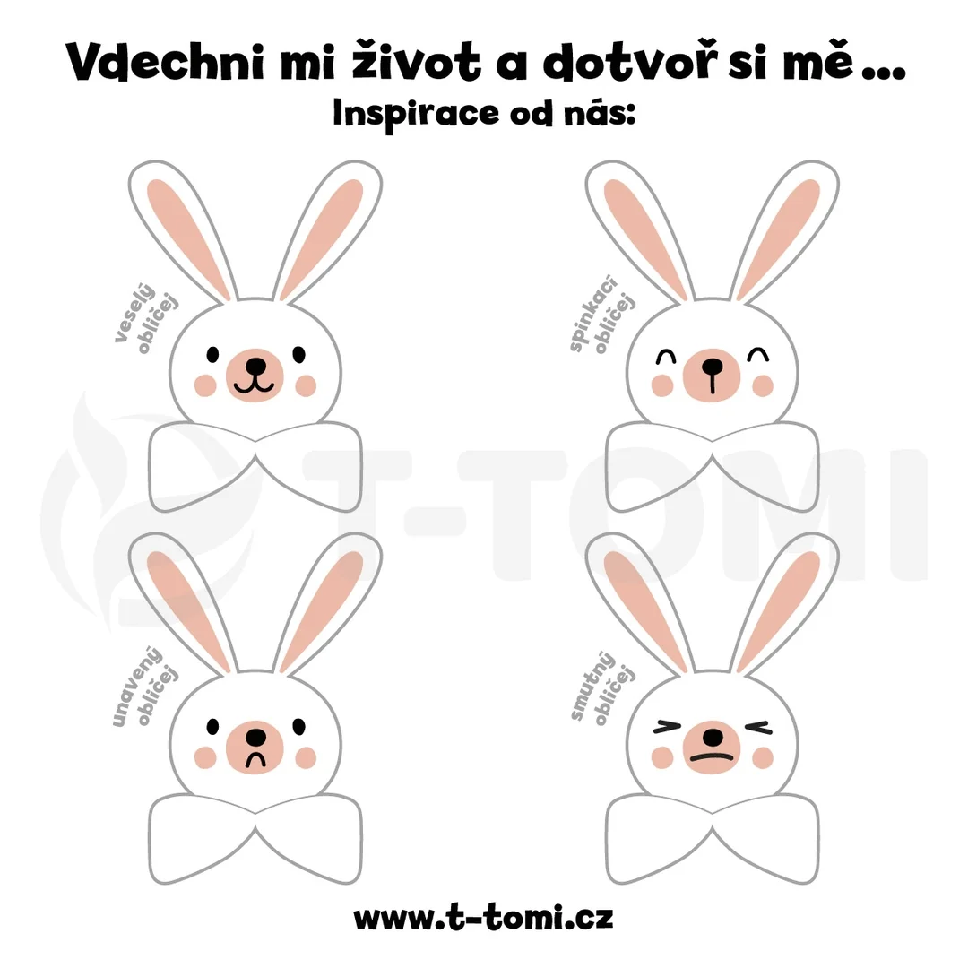 BIO mušelínová horčica