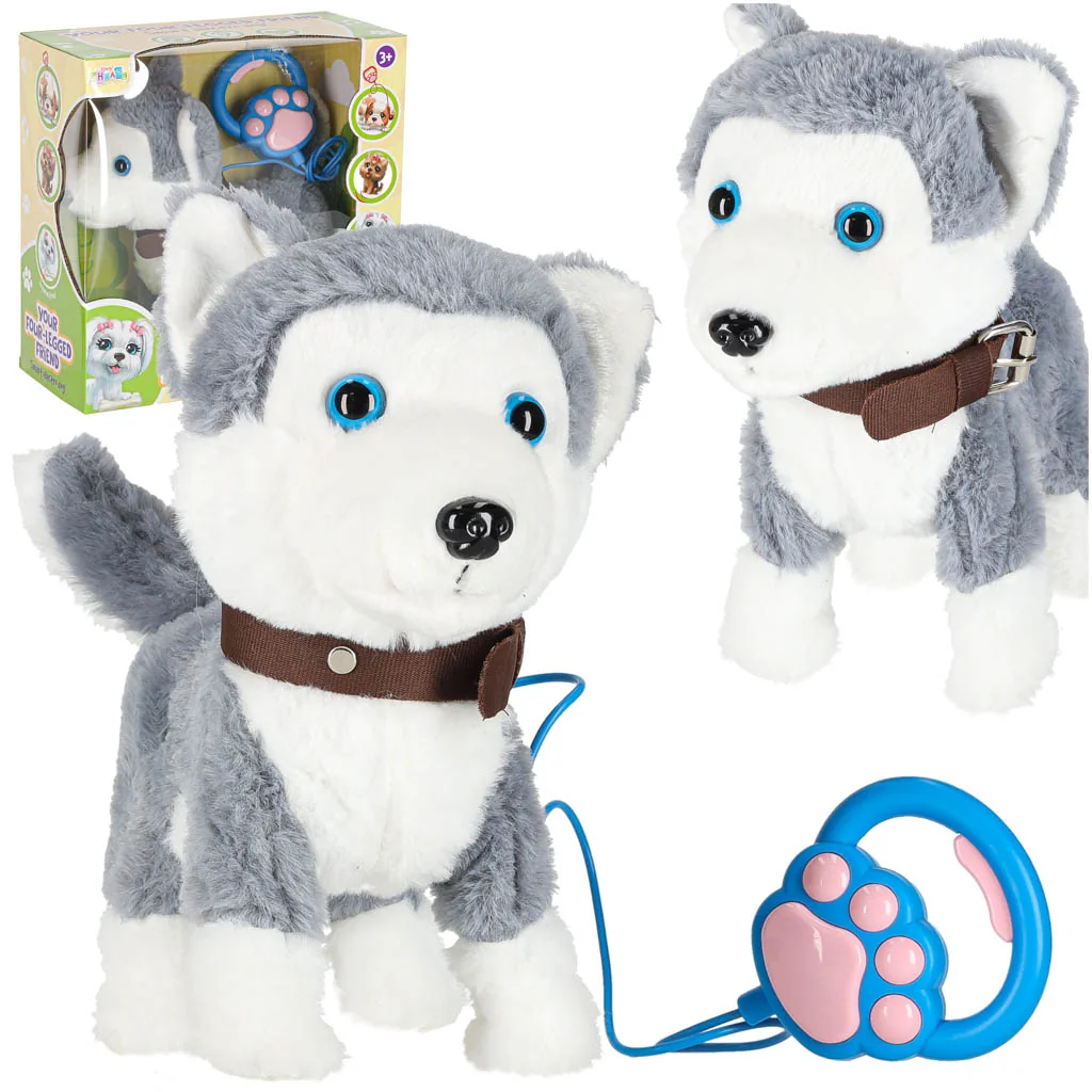 Interaktívny psík na vôdzke – husky