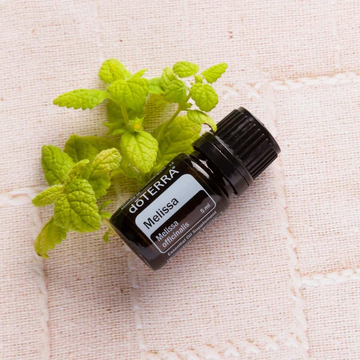 DoTerra Melissa Esenciálny olej medovka 5 ml Objem: 5 ml