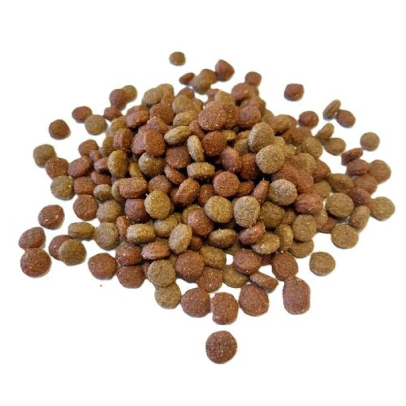 COBBYS PET KYNOR High Energy Adult Small & Medium 31/16 20kg vysokoenergetické krmivo s 47% obsahom hovädzieho a bravčového mäsa