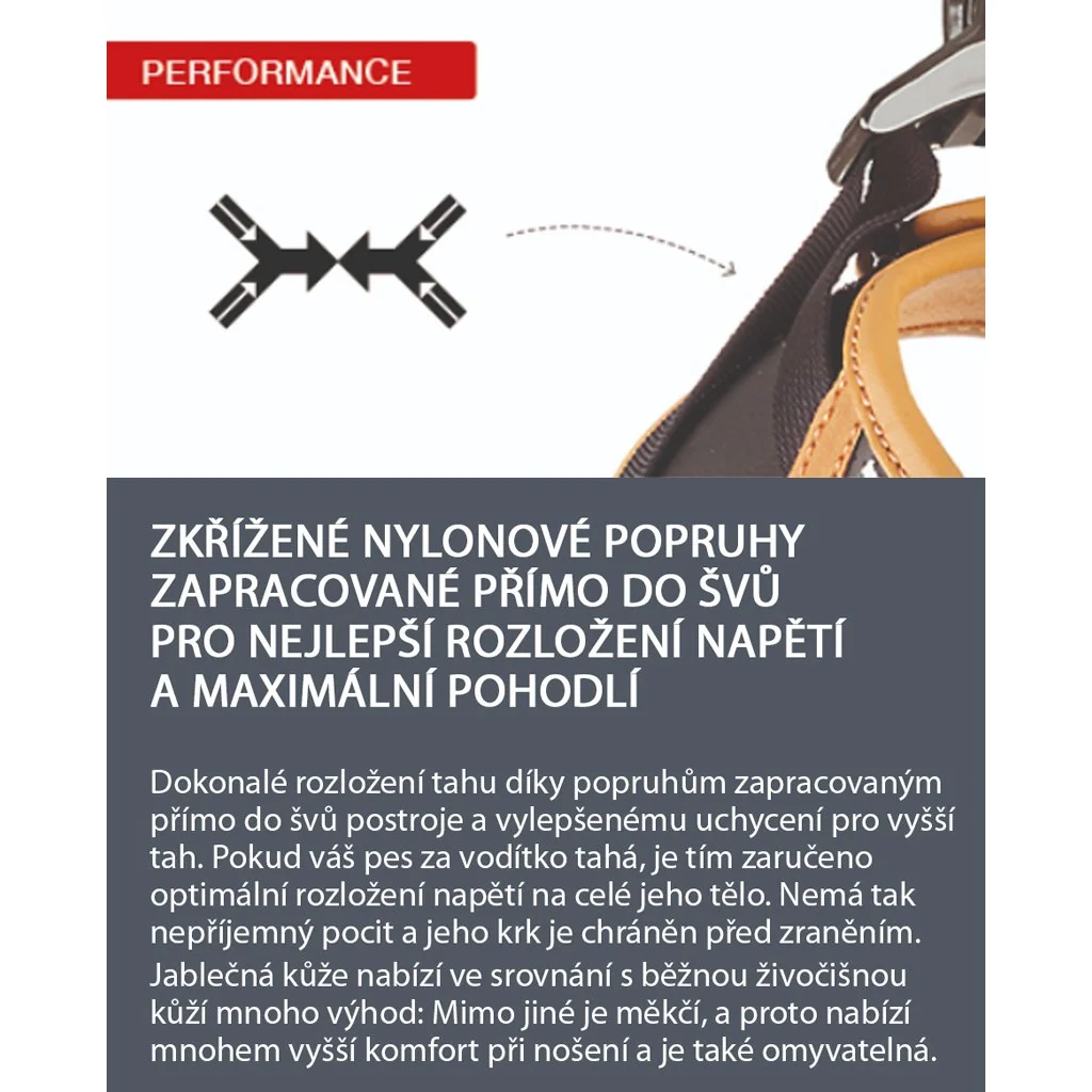 Postroj pre psov z jablčnej kože Black 2XS, 2-4 kg