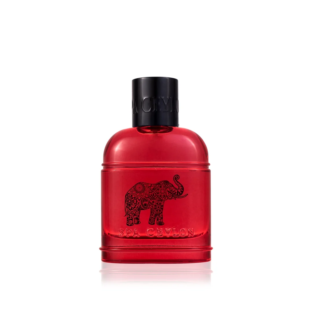 Parfumovaná voda Forest Energy 100 ml, pačuli, vetiver