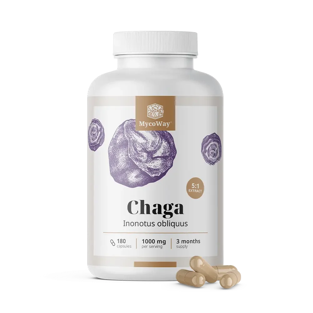 MYCOWAY Chaga 1000 mg – extrakt 5:1, 180 kapsúl 180 cps