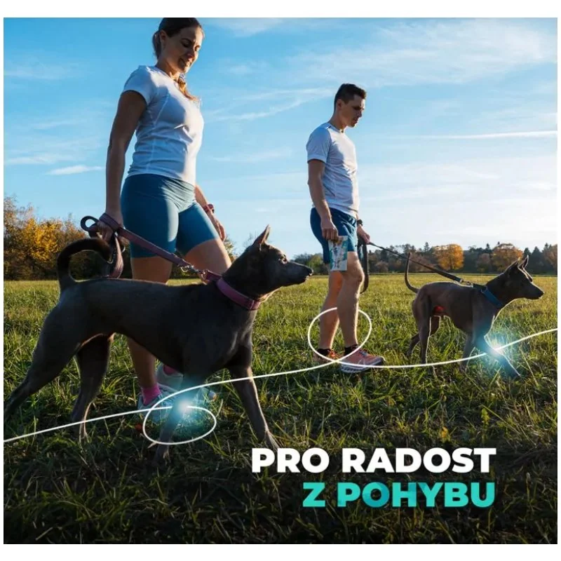 Kolagén pre malé a stredné psy 180 g, pečeňová