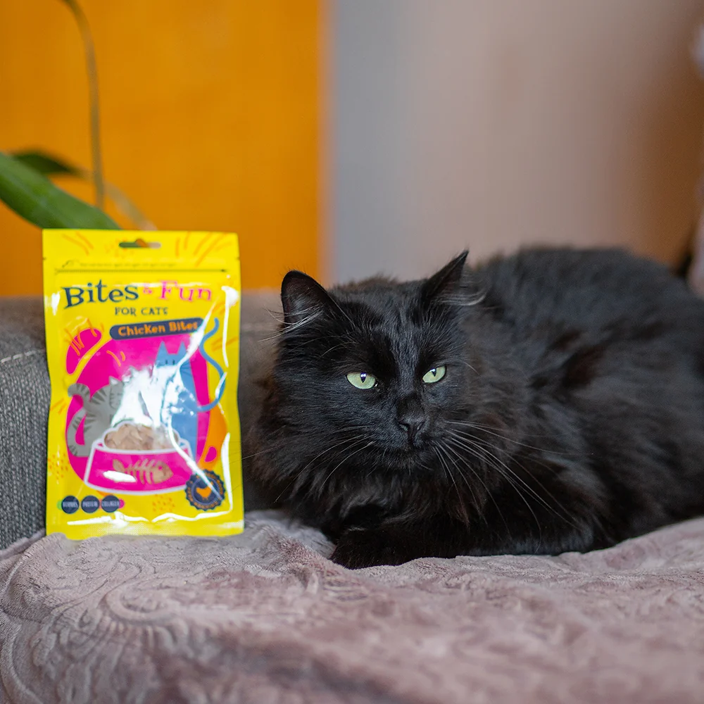 BITES & FUN Jehněčí & kuřecí & kachní pamlsek pro kočky 12 balení 60 g