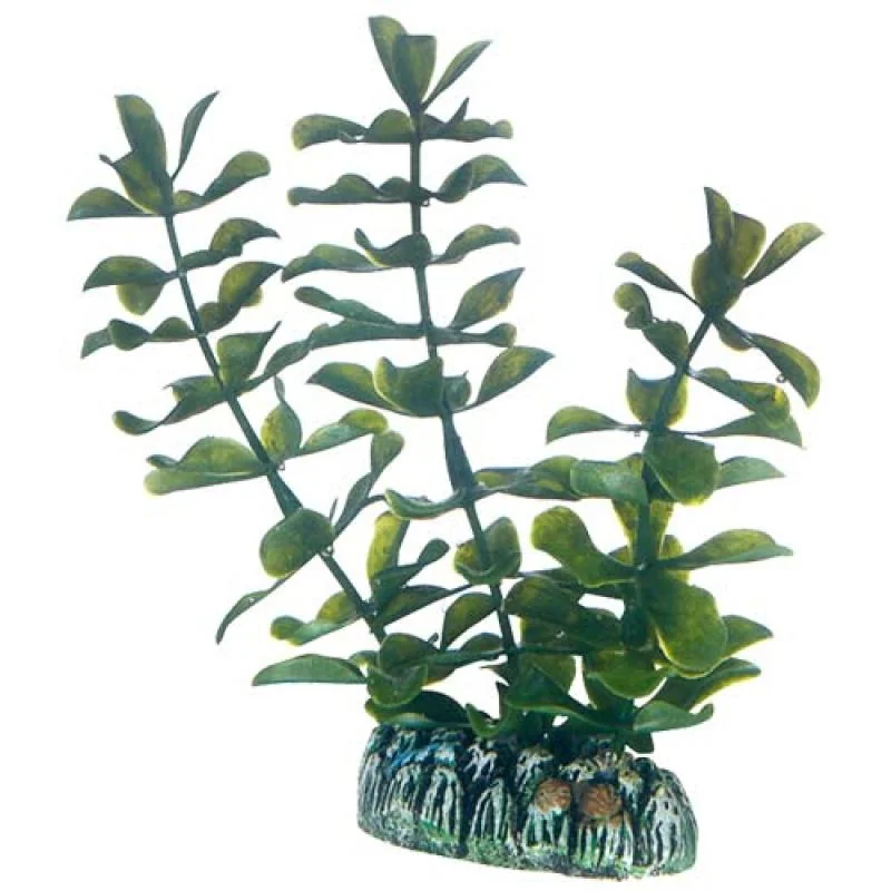 HOBBY Plantasy Set 5- Sada umelých rastlín 5