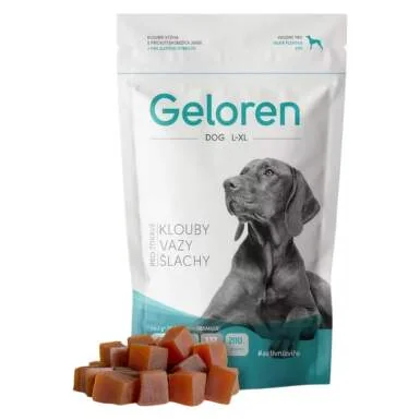 Geloren Large Dog 1×60 tbl, veterinárny prípravok