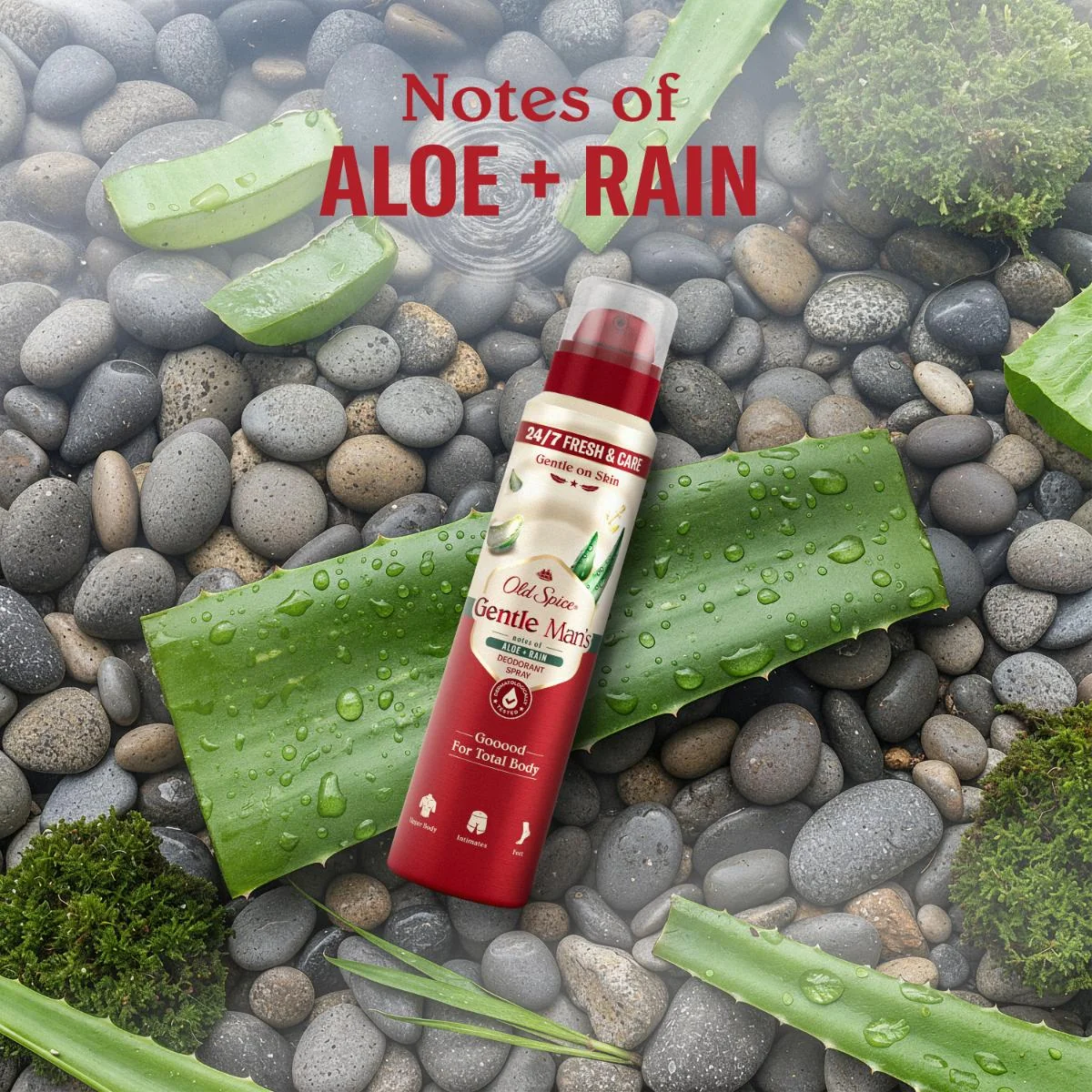 Old Spice Gentle Man's Aloe + Rain dezodorant v spreji 140 ml