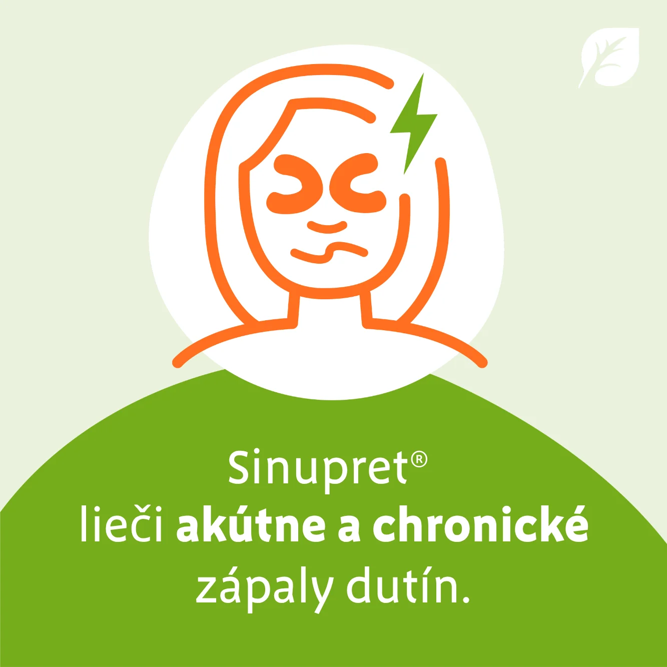 Sinupret 1×50 ml, kvapky
