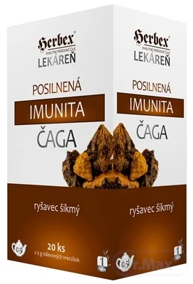 HERBEX Lekáreň Posilnená imunita ČAGA 1×60 g, čaj