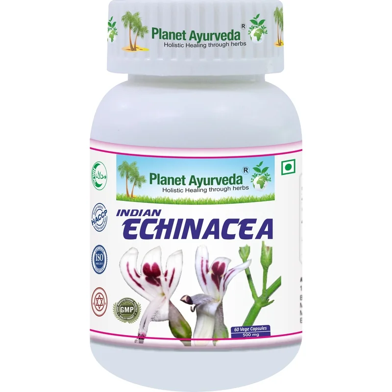 Indická Echinacea Kapsuly - Imunita 60 kapsúl