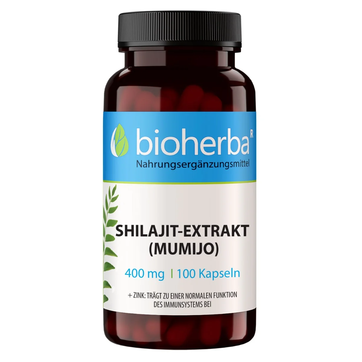 Mumio Shilajit extrakt 400 mg – 100 kapsúl – Bioherba