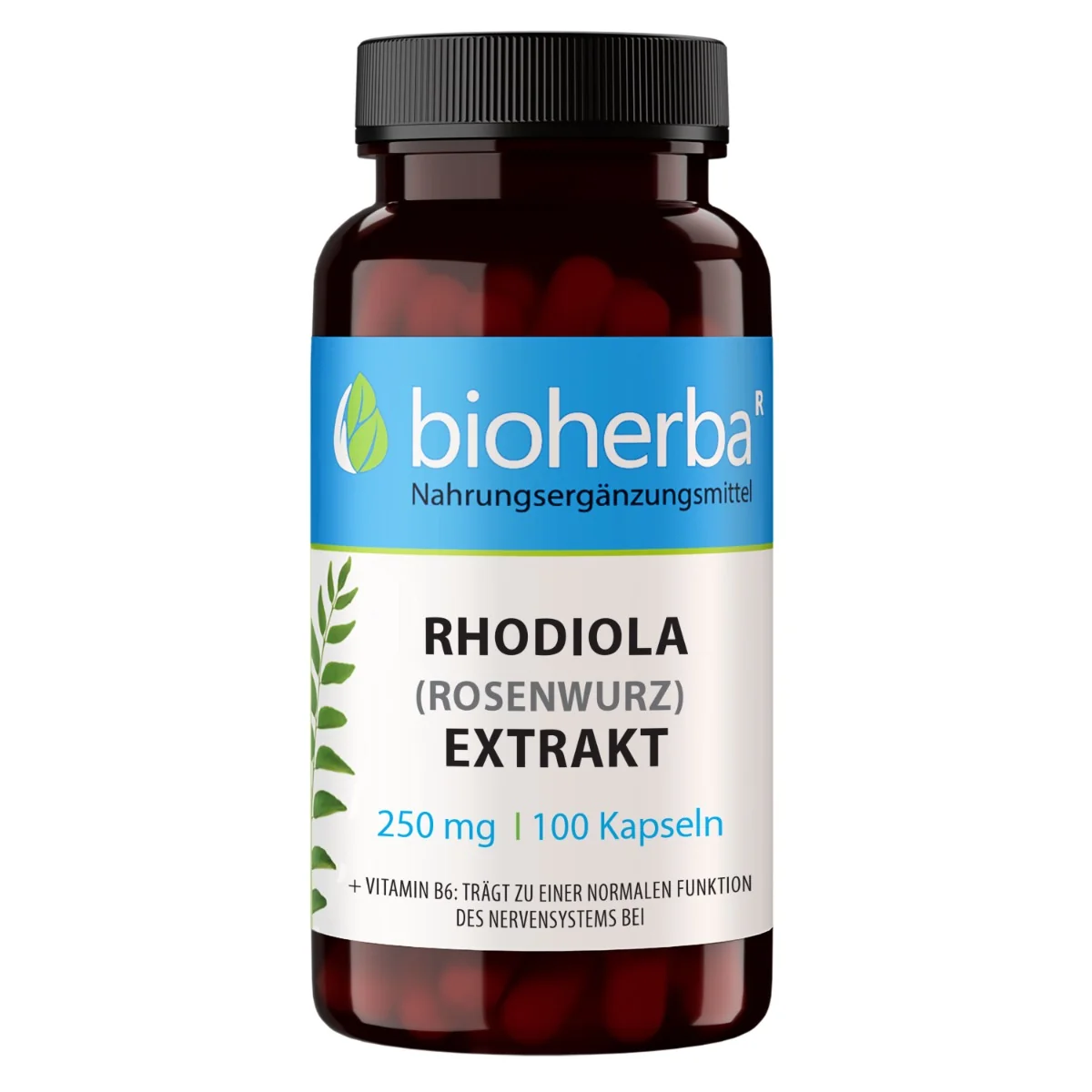 Rhodiola extrakt 250 mg – 100 kapsúl – Bioherba