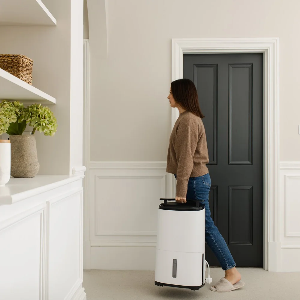 Odvlhčovač s čističkou vzduchu Dry Arete® One 20 L
