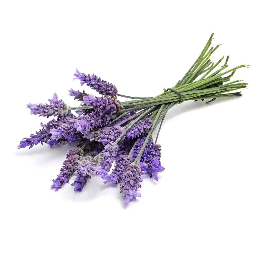 dōTERRA Touch Lavender - zmes levandule v guličke 10 ml Objem: 10 ml