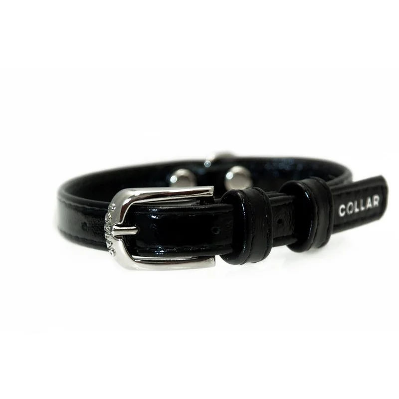 Lesklý kožený obojok čierny, Obvod krku: 21-29cm, šírka: 12mm