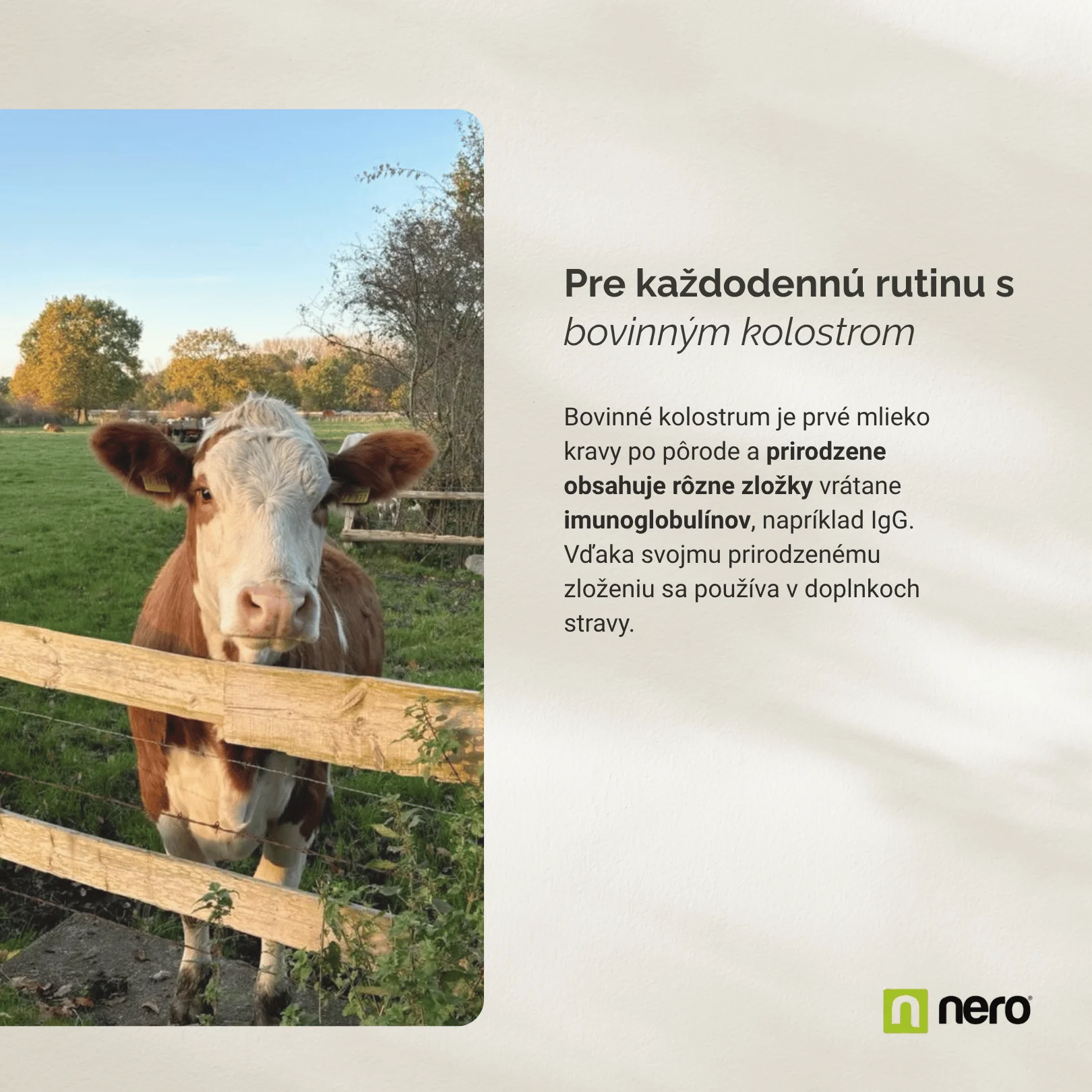 NERO Colostrum 500 mg 180 kapsúl