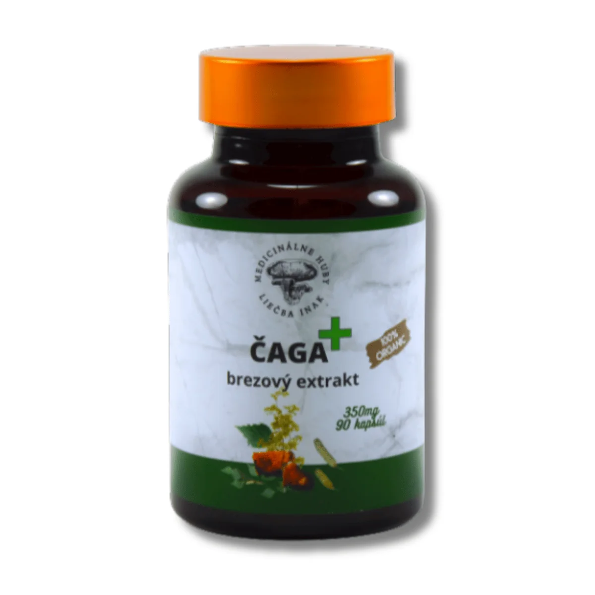 ČAGA plus 90 kapsúl S brezovým extraktom