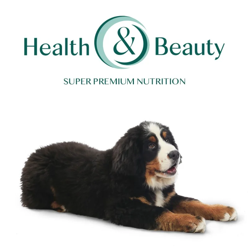 OPTIMEAL™ Superpremium pre šteňatá veľkých plemien - morka 12 kg (3822)