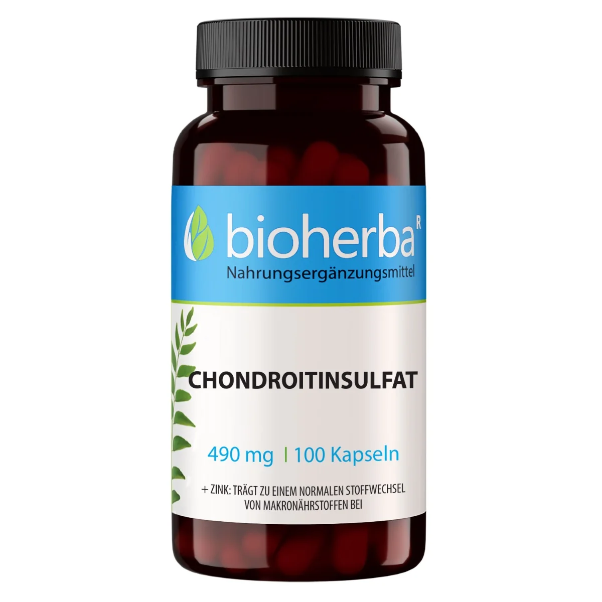 Chondroitín sulfát 490 mg – 100 kapsúl – Bioherba