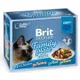 Brit Premium Cat Delicate Fillets In Gravy Family Plate 1020g (12×85g)