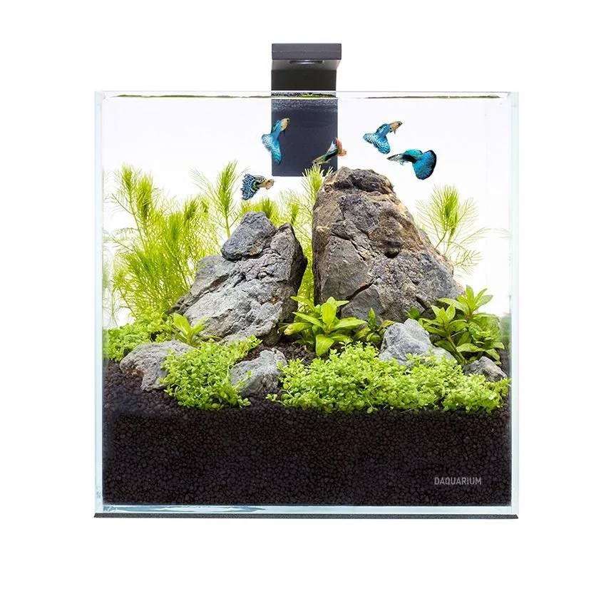 Akvárium - pico set 5l