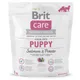 Brit Care Grain-free Puppy Salmon&Potato 1kg