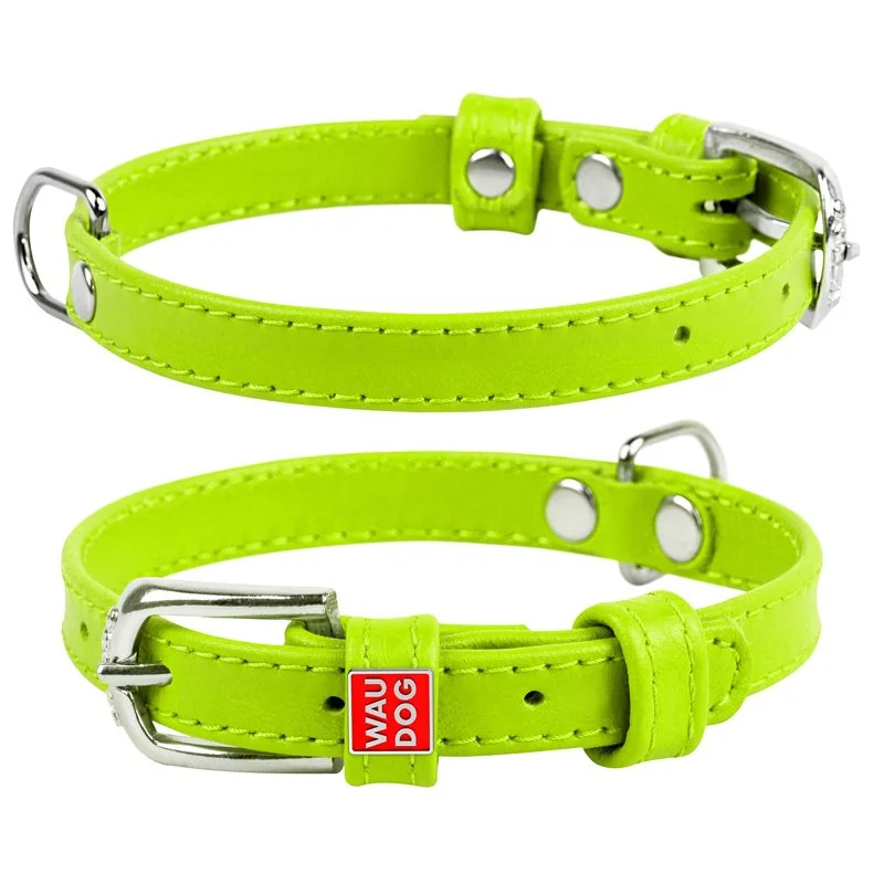 Plochý kožený obojok zelenej farby, Obvod krku: 30-39 cm, širka: 20 mm