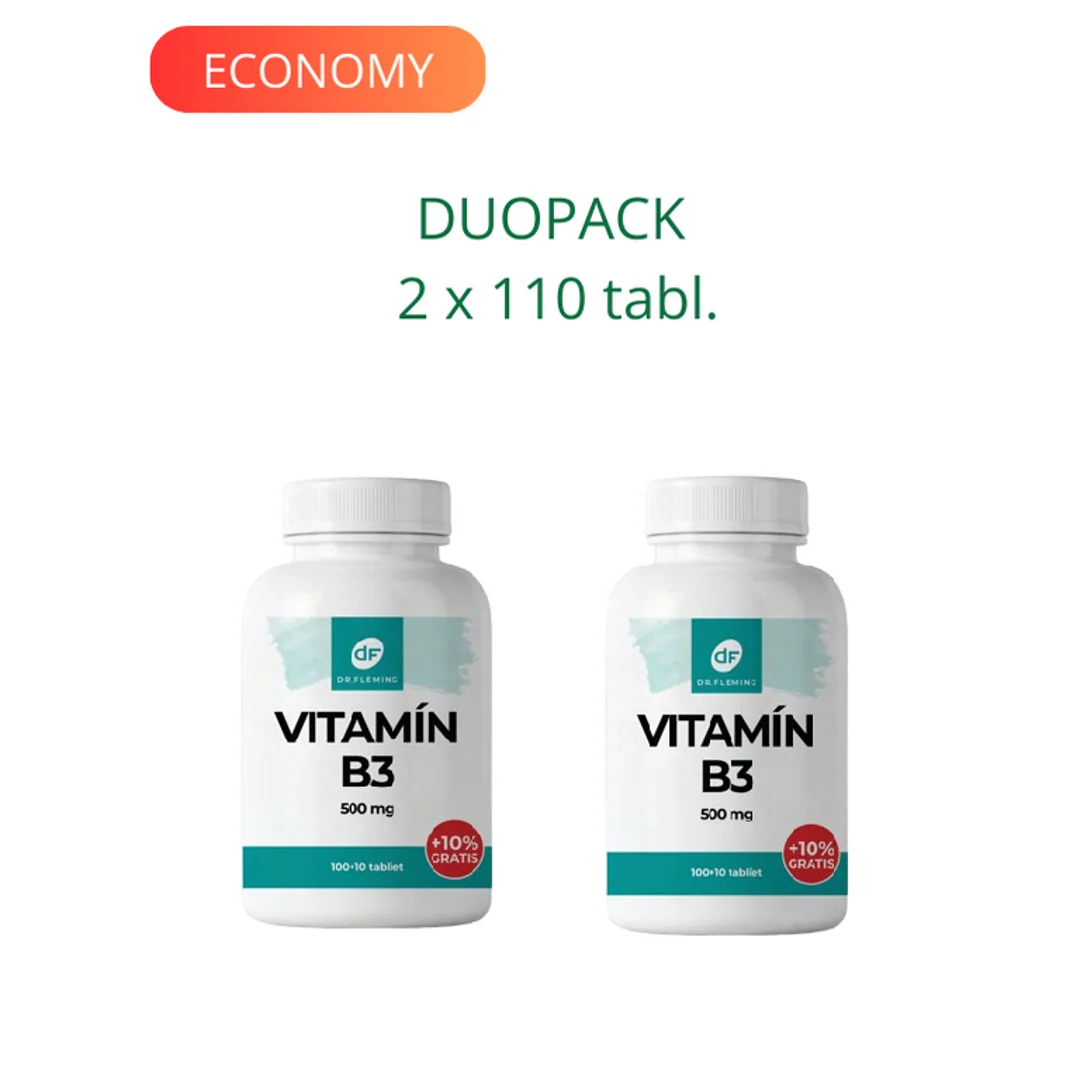DR. FLEMING Vitamin B3 500mg 220ks DUOPACK
