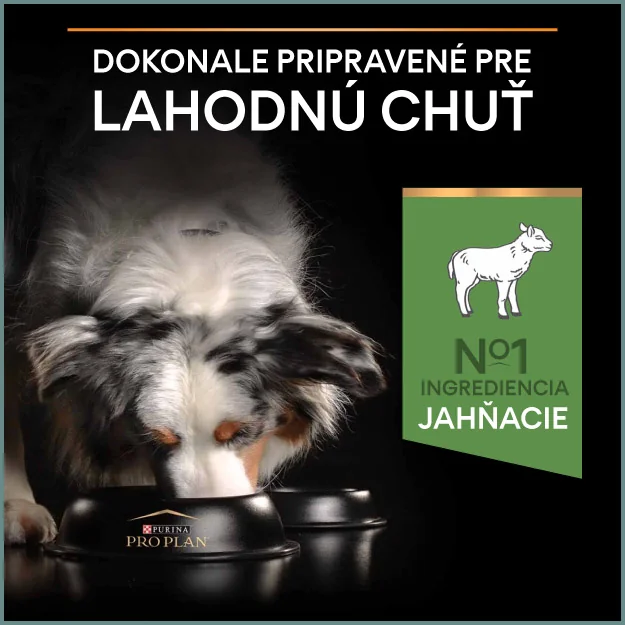 PRO PLAN Large Puppy Athletic Sensitive Digestion granule pre šteniatka jahňacie 12 kg 1×12kg, granule pre šteňatá