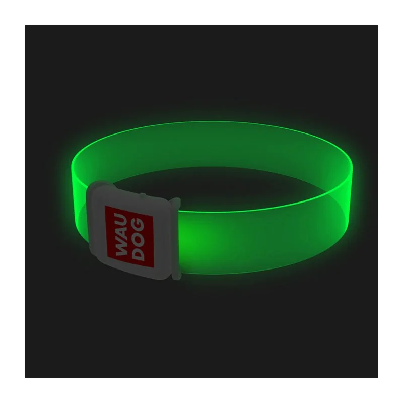 LED svietiaci obojok zelená, obvod 50-60 cm