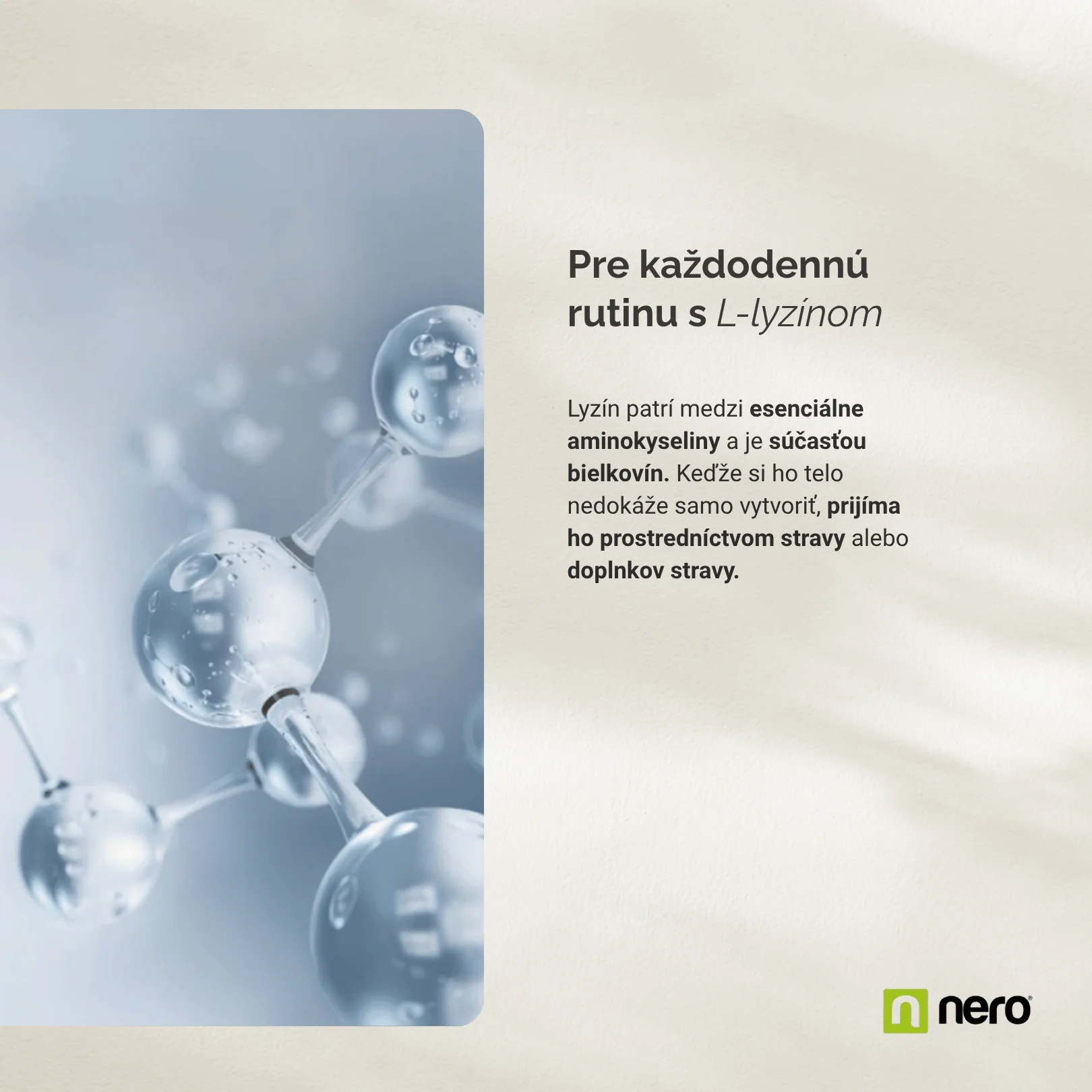 NERO L-Lyzín 1000 mg 365 kapsúl