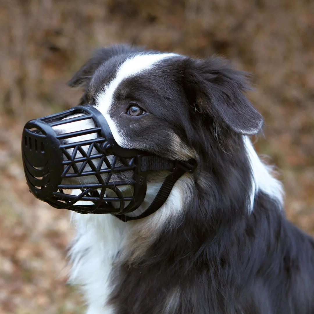 Náhubok Trixie plastový čierny S-M 22cm