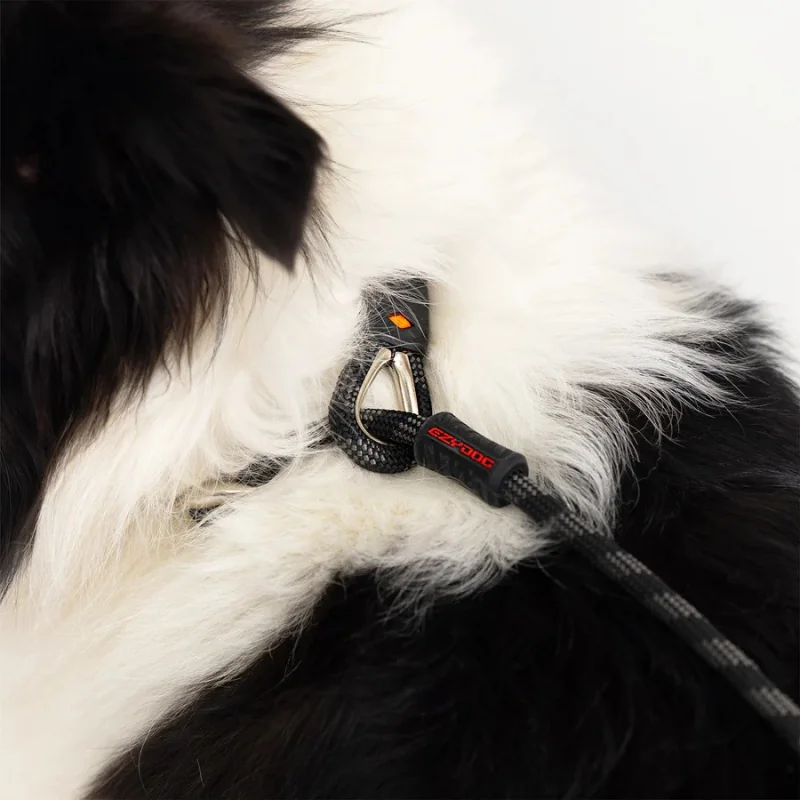 EZYDOG VODÍTKO LUCA LITE LEASH - BLUE
