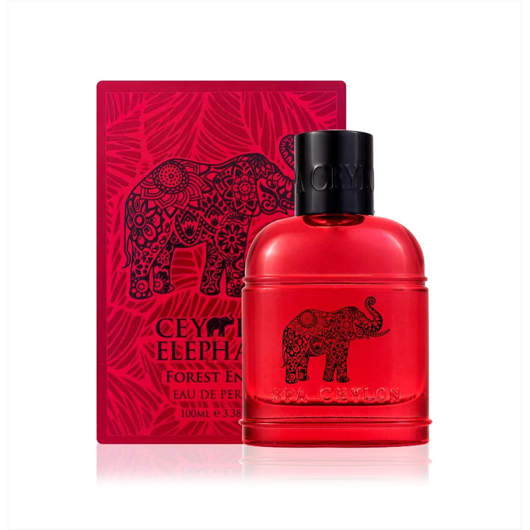 Parfumovaná voda Forest Energy 100 ml, pačuli, vetiver
