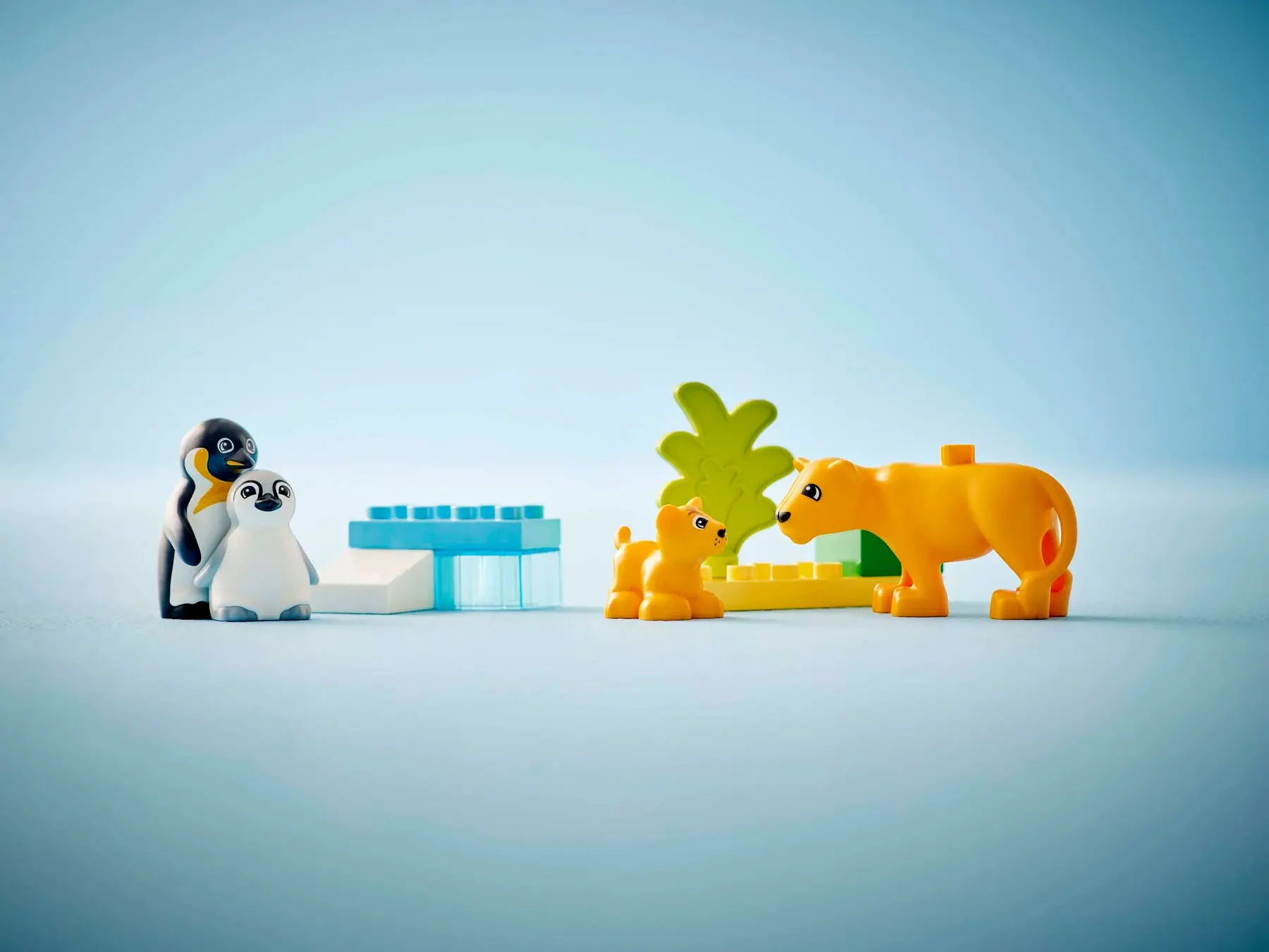 LEGO Rodinky divokých zvierat: Tučniaky a lev