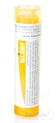 Hypericum perforatum 15CH 1×4 g, homeopatický liek