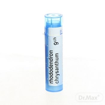 RHODODENDRON CHRYSANTHUM   CH9 1x4 g 1×4 g, homeopatický liek