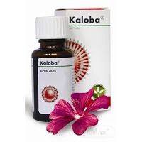 Kaloba