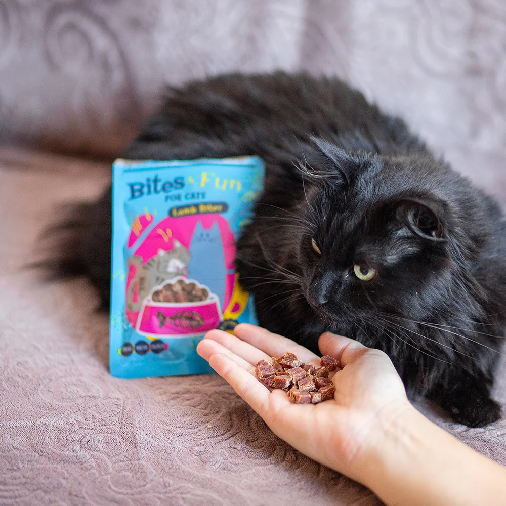 BITES & FUN Jehněčí & kuřecí & kachní pamlsek pro kočky 12 balení 60 g